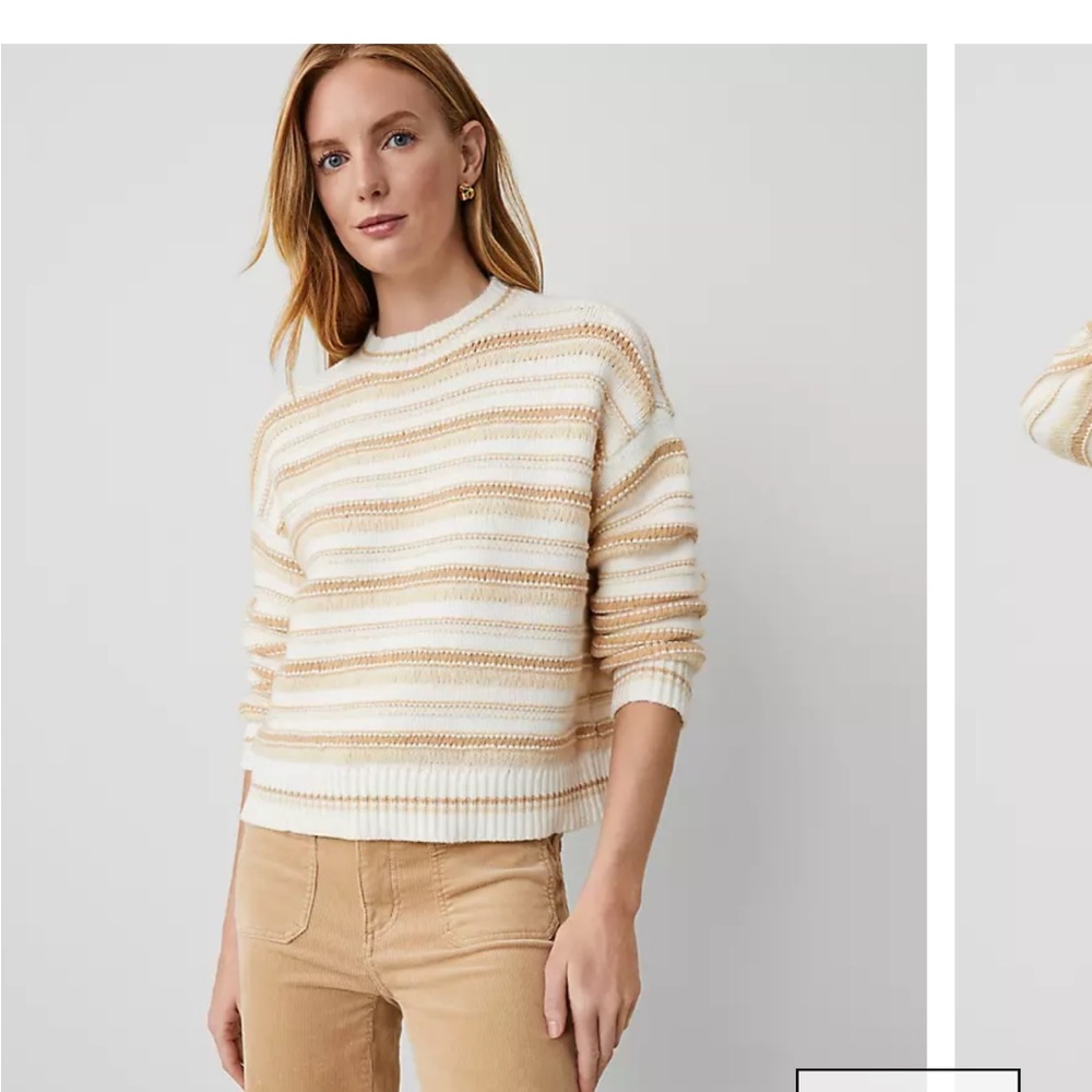 Ann Taylor Striped Cream and Tan Sweater